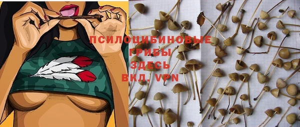 индика Алзамай