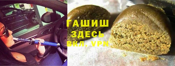 индика Алзамай