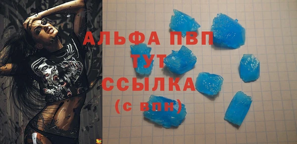 индика Алзамай